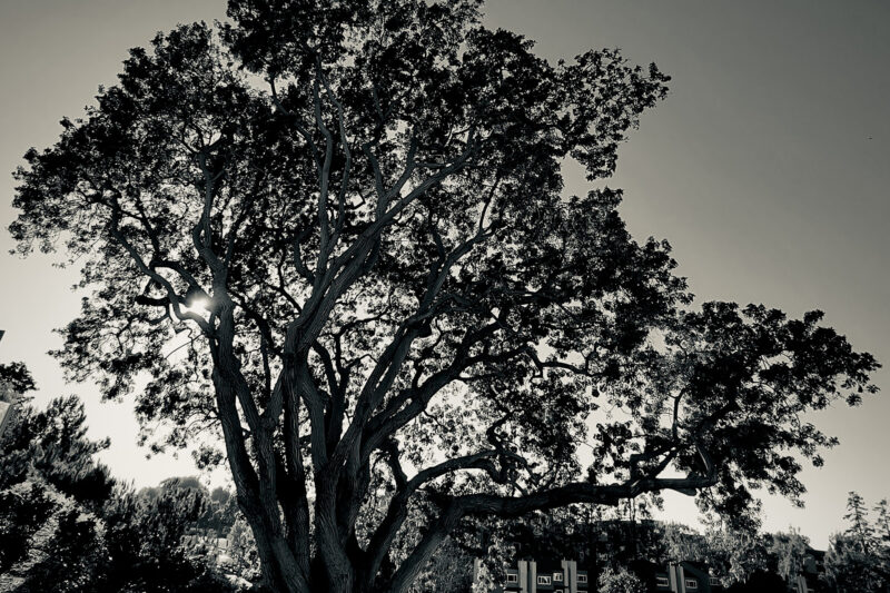 How AI Media Is Changing Creation